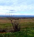 Земеделски имот в Бургас, с. Кошарица