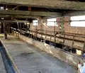 Снимка 4 — Промишлена сграда в Стара Загора, с. Знаменосец