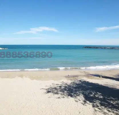 Photo 2 — Four-room apartment with sea view in Sv.Sv. Konstantin and Elena