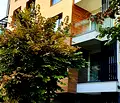 Снимка 2 — Тристаен апартамент във Варна, ВИНС-Червен площад