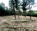 Снимка 4 — Парцел в Банкя