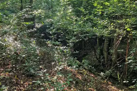 Plot in Oblast Veliko Tyrnovo, Elena