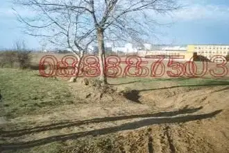 Plot in Pleven, Storgoziya