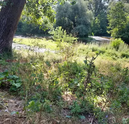Photo 4 — Plot in Oblast Sliven, Banya