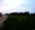 Снимка 2 — Парцел в Добрич, с. Българево