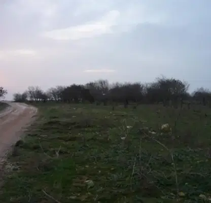 Photo 2 — Plot in Dobrich, Bylgarevo