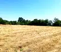 Снимка 4 — Парцел във Враца, с. Горно Пещене