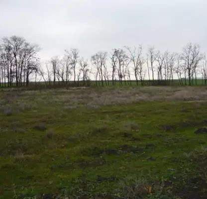 Photo 3 — Plot in Dobrich, Hadji Dimityr