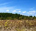 Снимка 5 — Парцел в София, с. Хераково