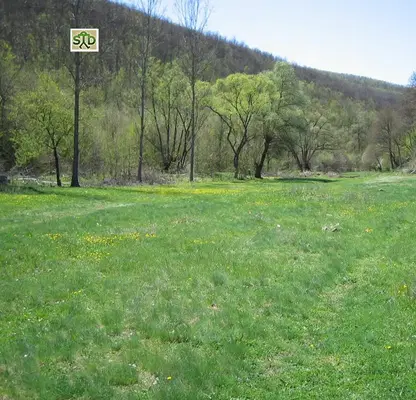 Photo 4 — Plot in област София, Iskrec