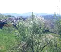 Снимка 4 — Парцел в Габрово, с. Карали
