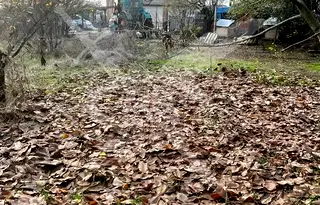 Парцел в Пловдив, с. Найден Герово
