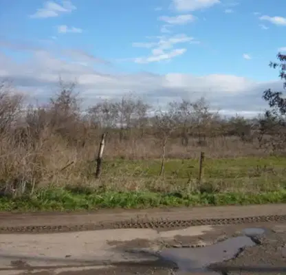 Photo 2 — Plot in Dobrich, Selce