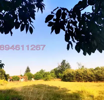 Снимка 2 — Парцел в Пловдив, с. Татарево