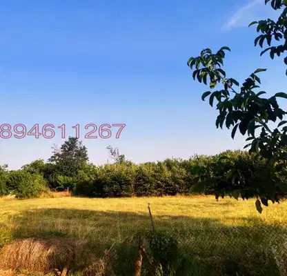 Снимка 3 — Парцел в Пловдив, с. Татарево