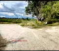 Снимка 2 — Парцел в Пловдив, с. Труд