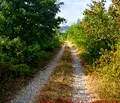 Снимка 2 — Парцел в Габрово, Севлиево