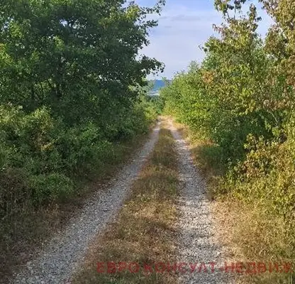 Photo 2 — Plot in Oblast Gabrovo, Sevlievo