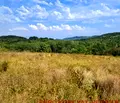 Снимка 4 — Парцел в Габрово, Севлиево