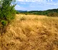 Снимка 5 — Парцел в Габрово, Севлиево