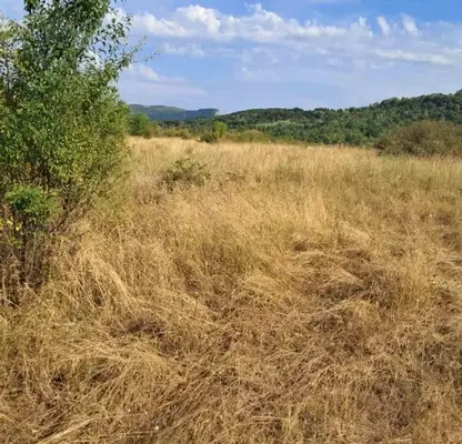 Photo 5 — Plot in Oblast Gabrovo, Sevlievo