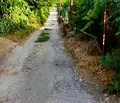 Снимка 4 — Парцел в Габрово, Севлиево