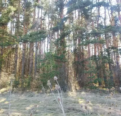 Photo 5 — Plot in Sofiya, м-т яз. Искър
