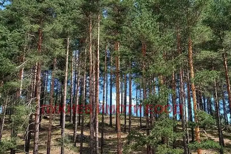 Plot in Pazardjik, Velin