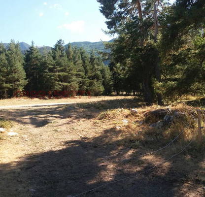 Photo 2 — Agricultural Land in Oblast Blagoevgrad, Razlog