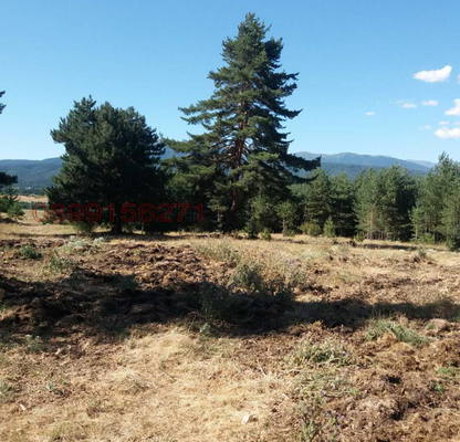 Photo 4 — Agricultural Land in Oblast Blagoevgrad, Razlog