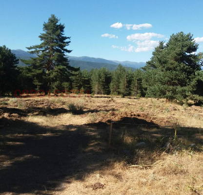 Photo 5 — Agricultural Land in Oblast Blagoevgrad, Razlog