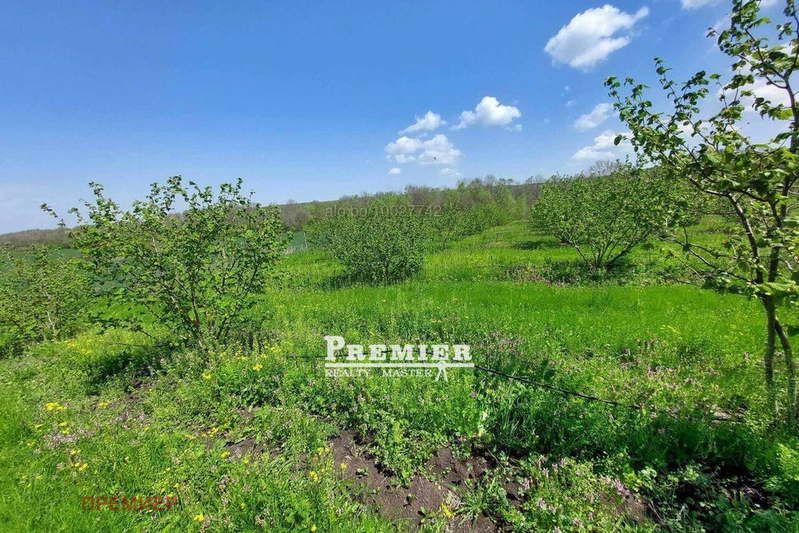Orchard in Burgas, Drachevo