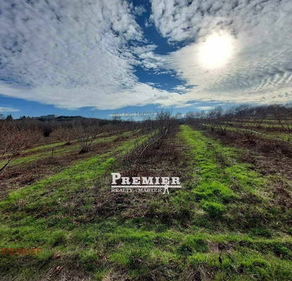 Photo 2 — Orchard in Burgas, Drachevo