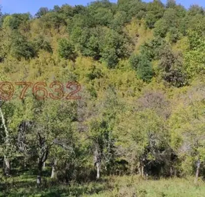 Photo 2 — Agricultural Land in Oblast Lovech, Glojene