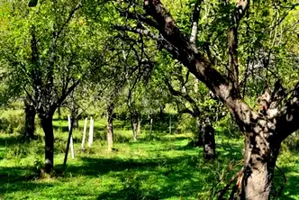 Земеделски имот в Ловеч, с. Гложене