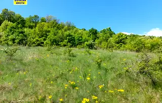 Земеделски имот в Стара Загора, с. Малка Верея