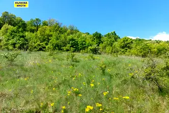 Земеделски имот в Стара Загора, с. Малка Верея