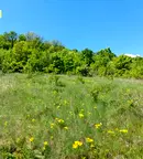 Земеделски имот в Стара Загора, с. Малка Верея