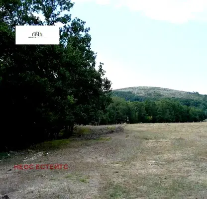 Photo 2 — Agricultural Land in Oblast Burgas, Veselie