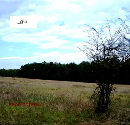 Photo 3 — Agricultural Land in Oblast Burgas, Veselie