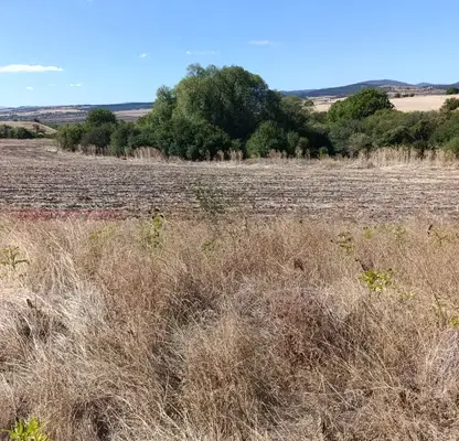 Photo 2 — Agricultural Land in Oblast Pernik, Vidrica