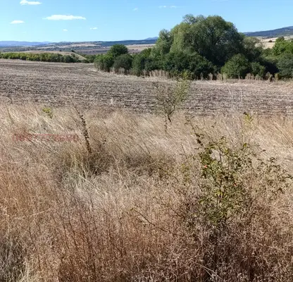 Photo 3 — Agricultural Land in Oblast Pernik, Vidrica