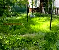 Снимка 3 — Етаж от къща в Перник, Църква