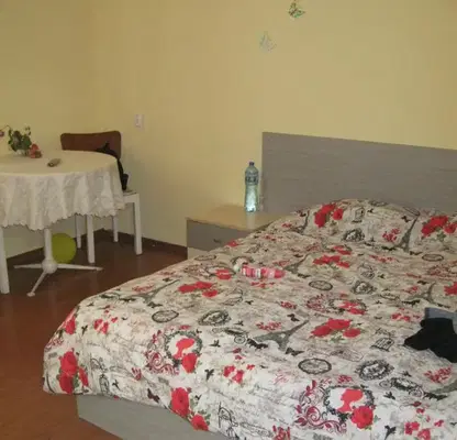 Photo 4 — House in Oblast Veliko Tyrnovo, Gorna Oryahovica