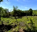 Снимка 5 — Къща в Монтана, в.з. Запад