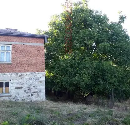 Снимка 3 — Къща с 2 стаи и голям двор в с. Белица, област Хасково