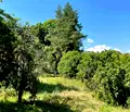 Снимка 5 — Къща в Перник, с. Кленовик