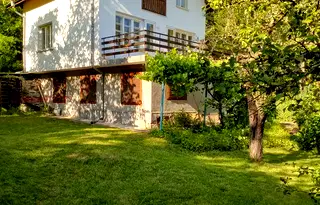 Къща в Перник, Трън