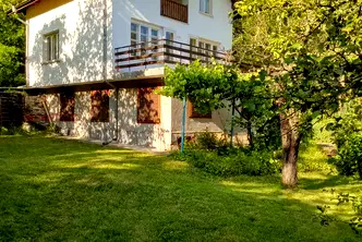 Къща в Перник, Трън