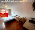 Снимка 4 — Едностаен апартамент в Благоевград, Банско
